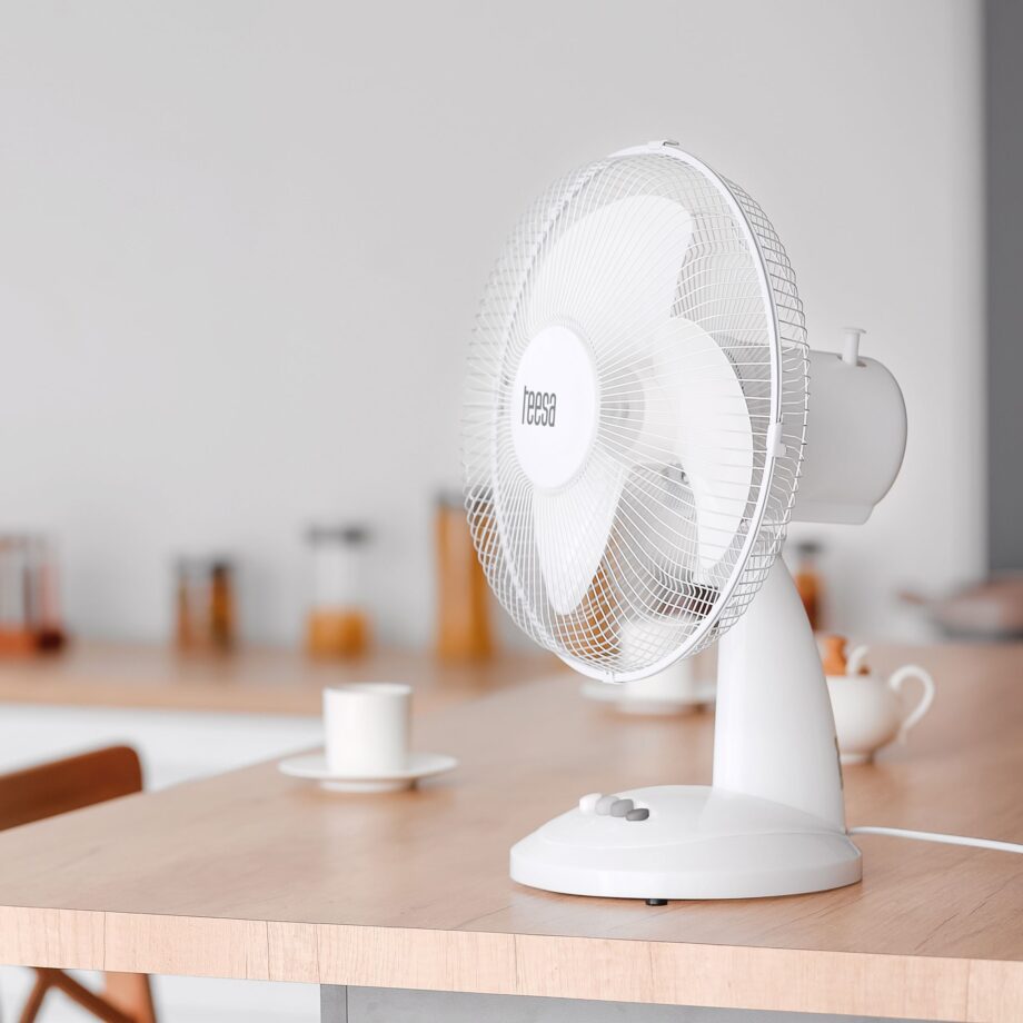 Teesa Table Fan TSA8023