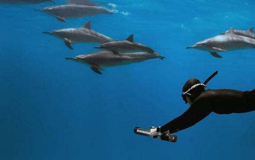 Waydoo Subnado Plus underwater scooter - standard set
